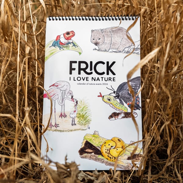 A Fricken Year (and a calendar!)